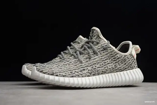 Dove YEEZY Adidas Turtle 350 Boost AQ4832 0507